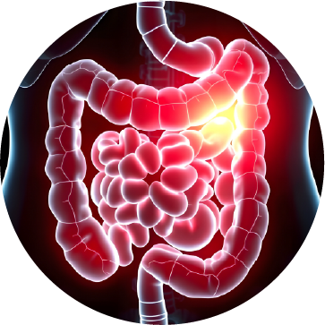 Gastroenterologia_1