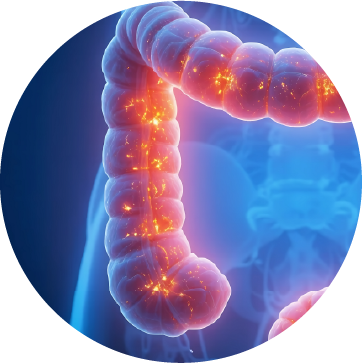 Gastroenterologia_2