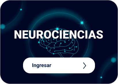 Artículos destacados