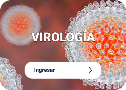 Artículos destacados