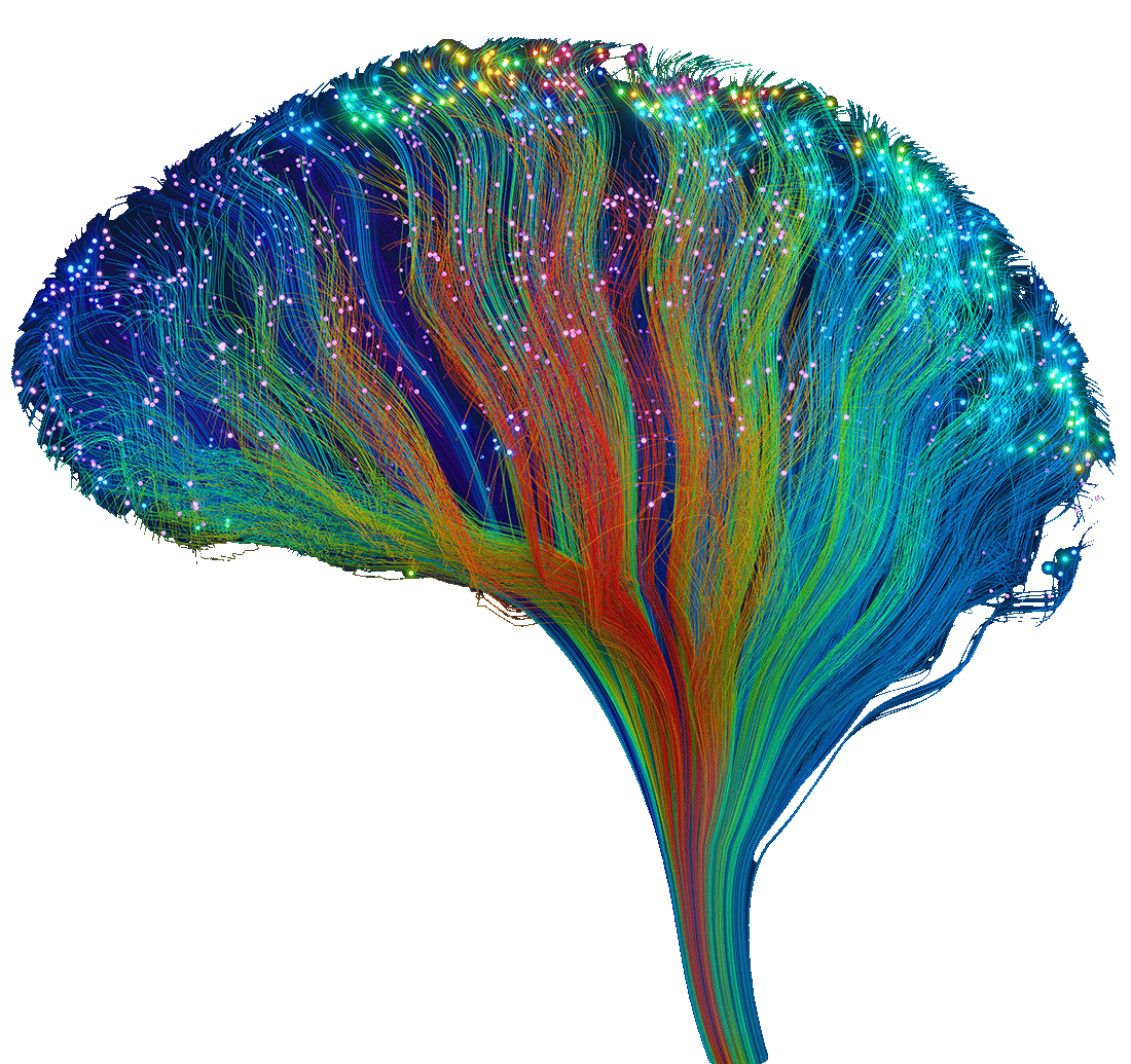 arbol_colorido