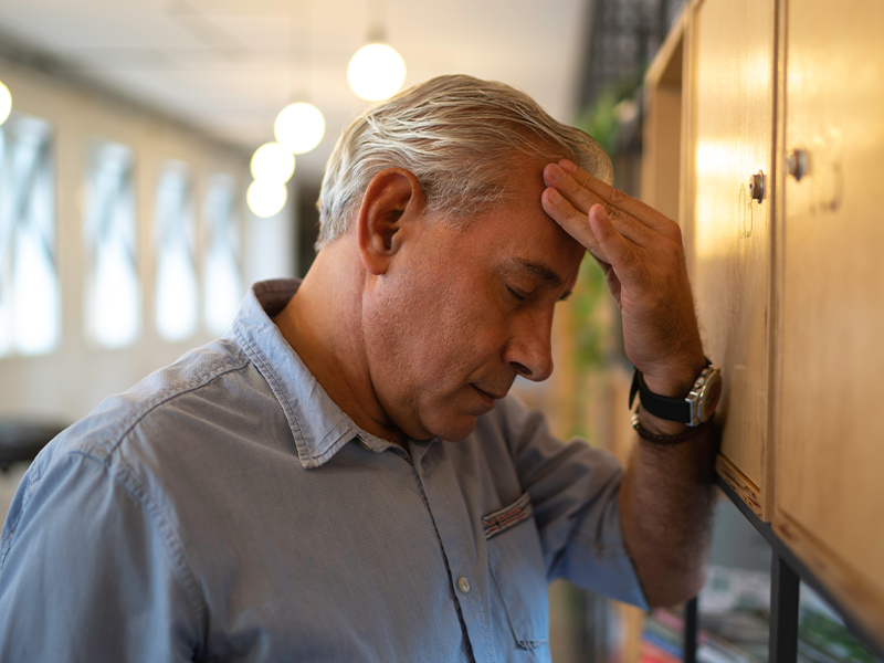 Artículos destacados