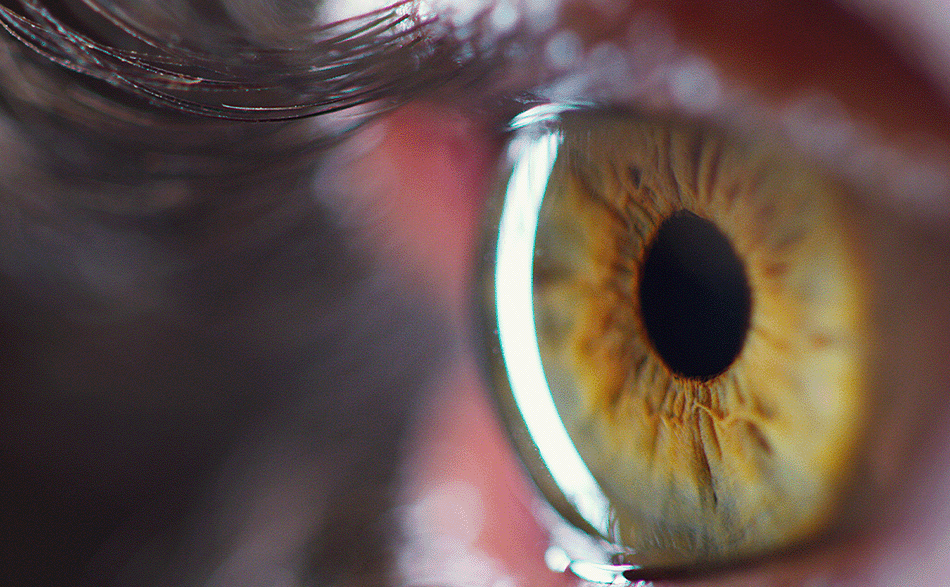 Artículos destacados