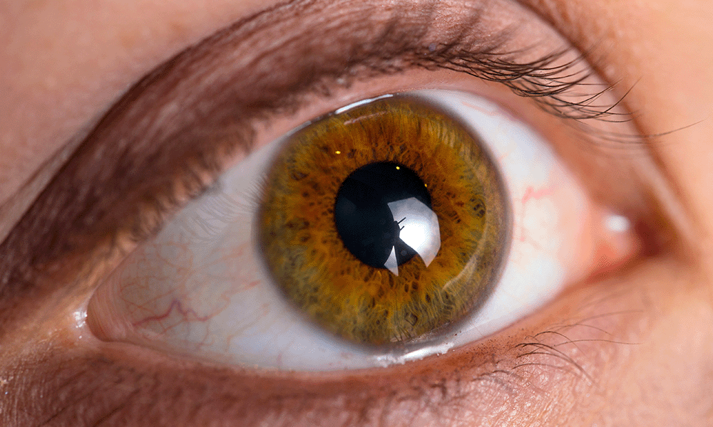 Artículos destacados