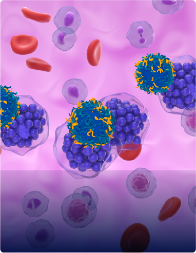 ldcbg1