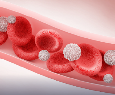 Hematologia_1