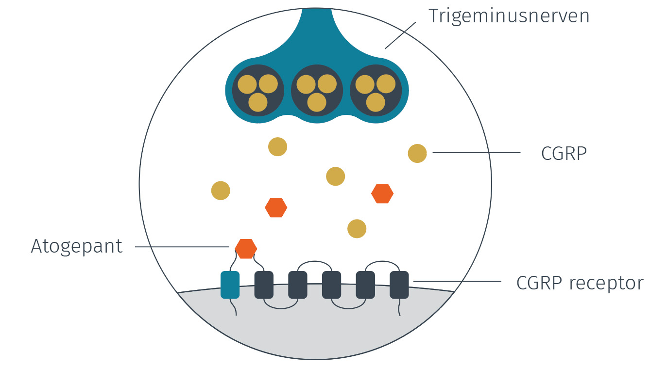 illustrativt diagram i blått, orange och grått