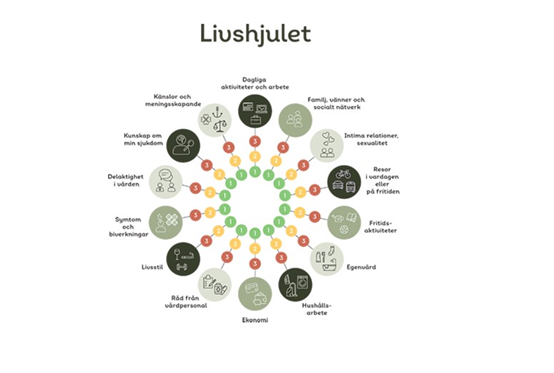 Illustration av livshjulet