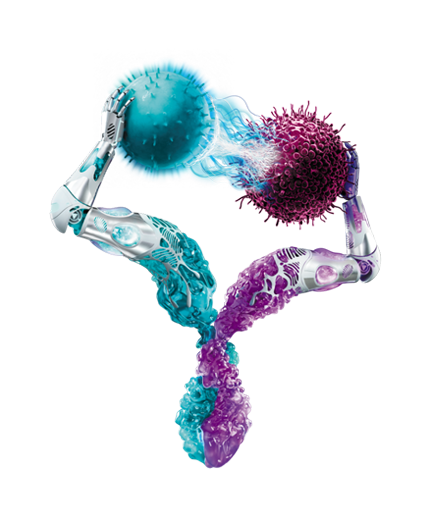 Bispecific-disclaimer