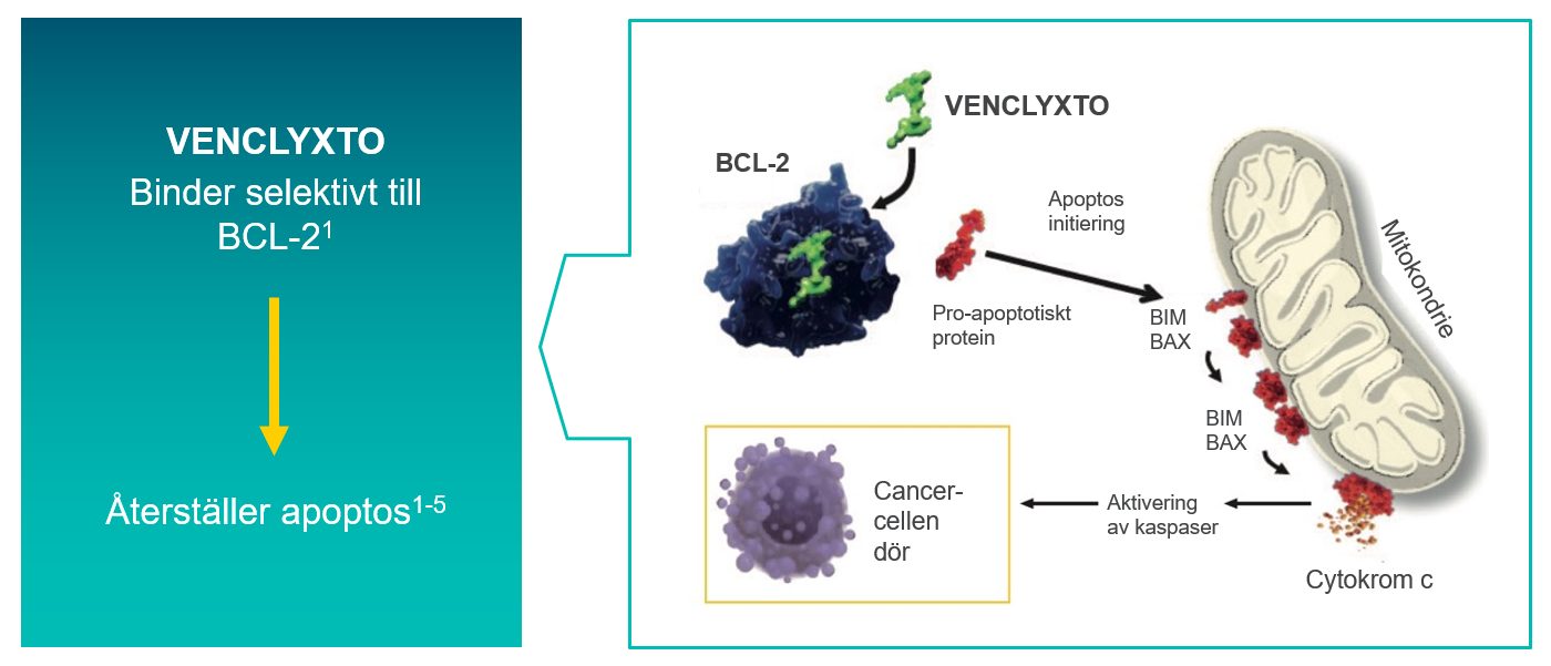 VENCLYXTO® (venetoklax) | BCL-2-hämning
