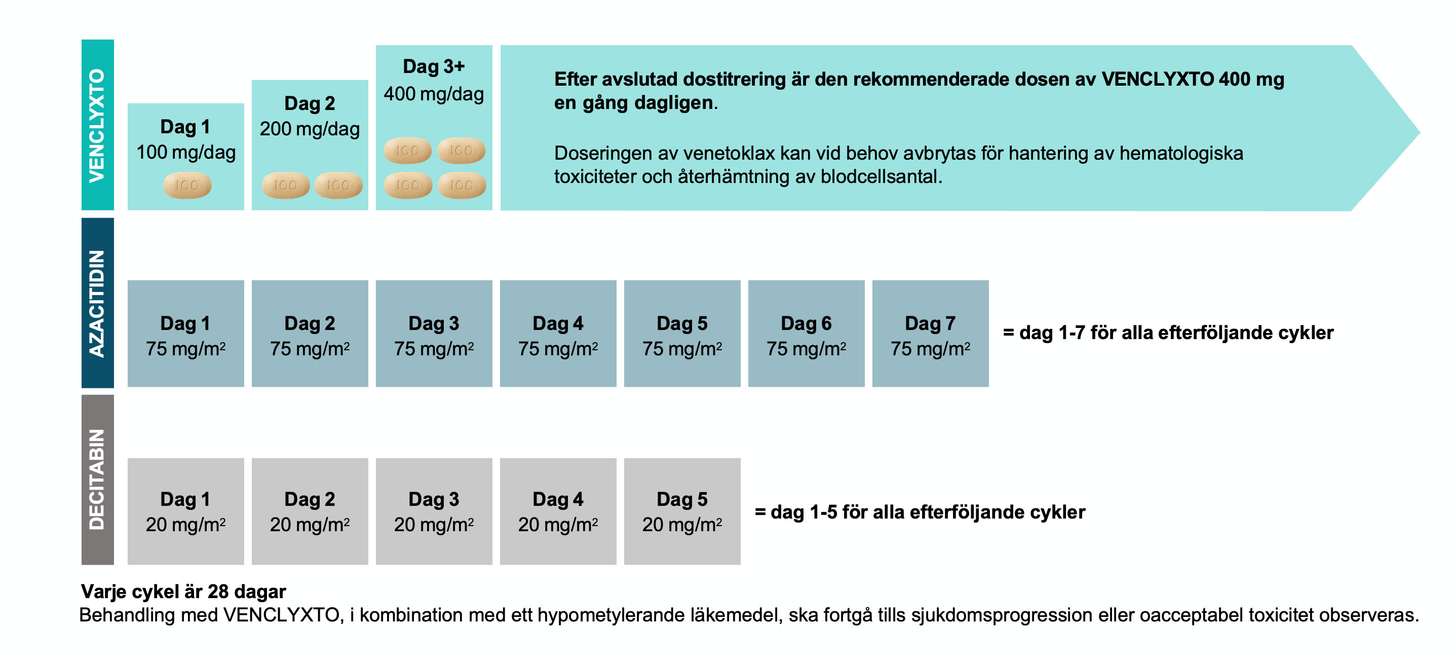 1L dosing: after a cycle of obinutuzumab, initiate once-daily VENCLYXTO treatment with the 5-week dose titration period