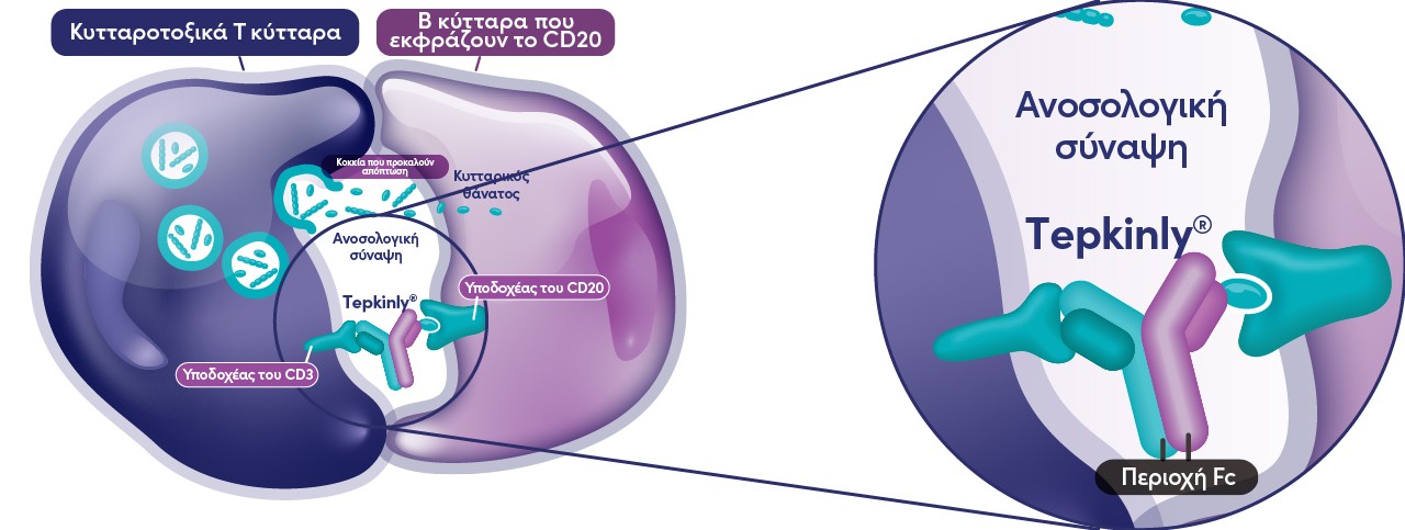 Tumor